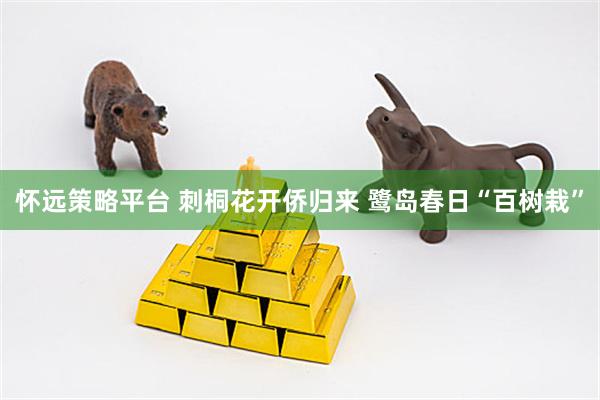 怀远策略平台 刺桐花开侨归来 鹭岛春日“百树栽”